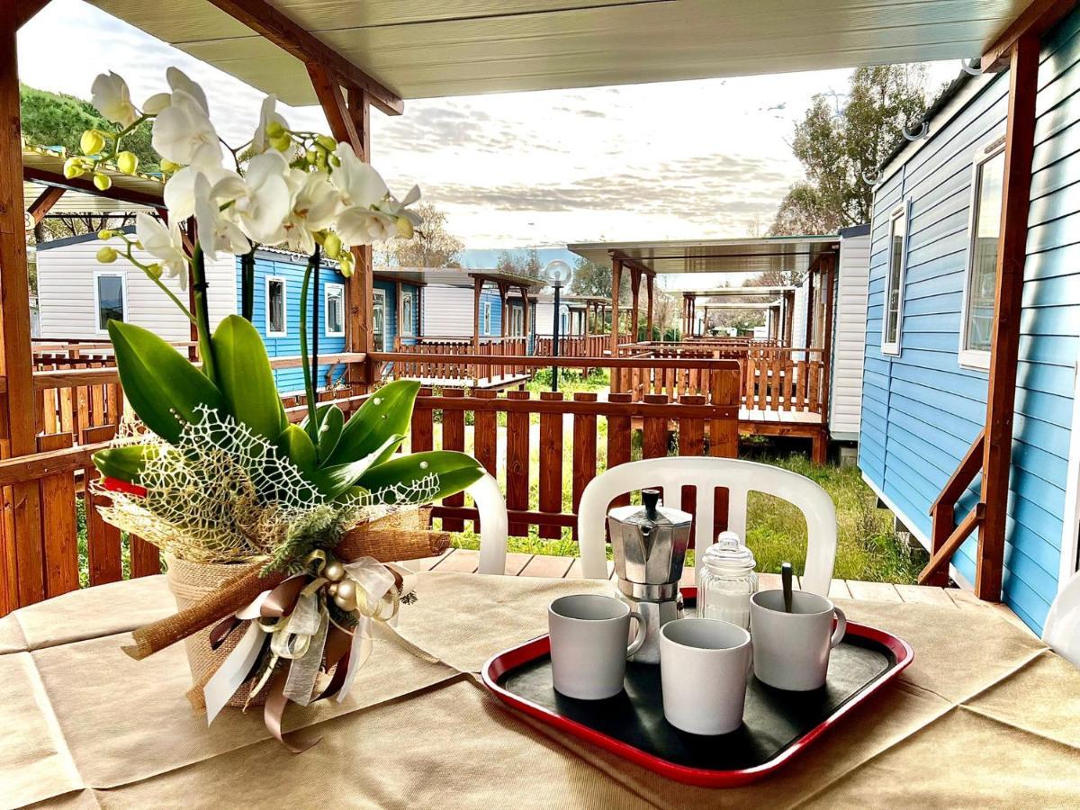 Camping Village Tuscia Tirrenica تاركوينيا المظهر الخارجي الصورة