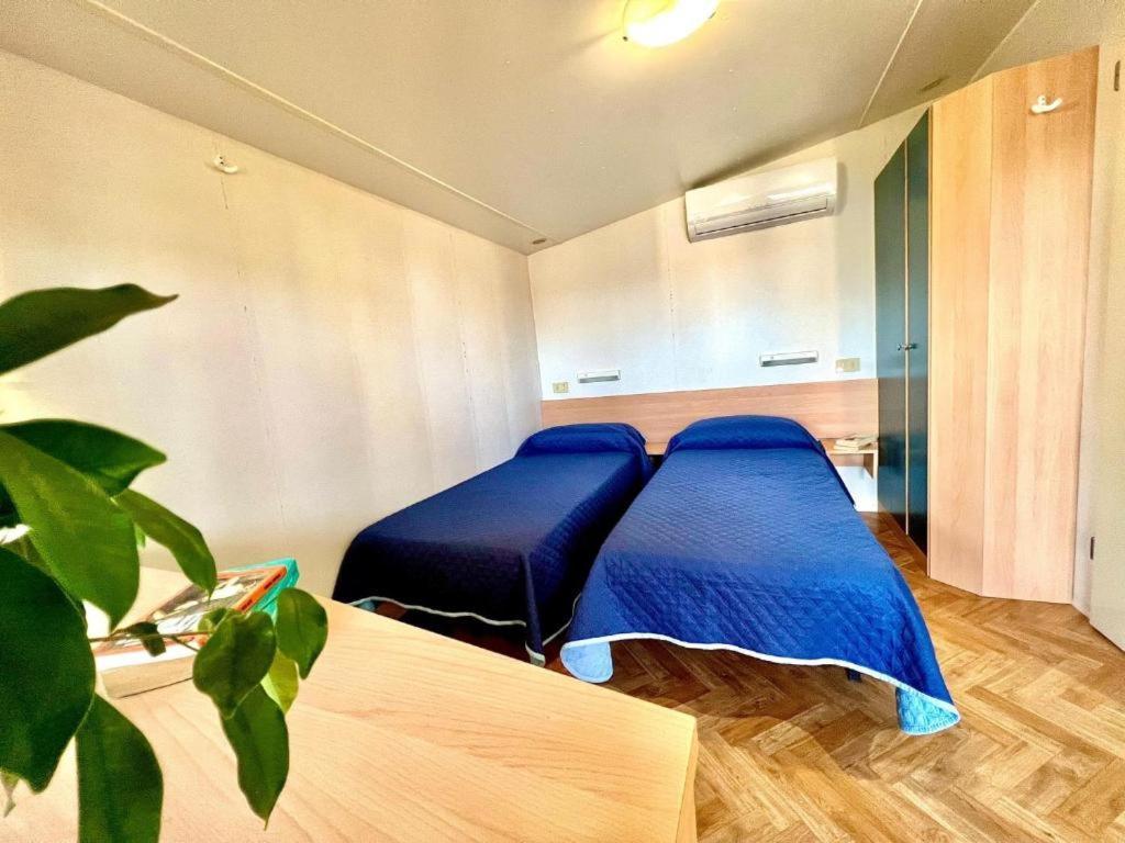 Camping Village Tuscia Tirrenica تاركوينيا المظهر الخارجي الصورة