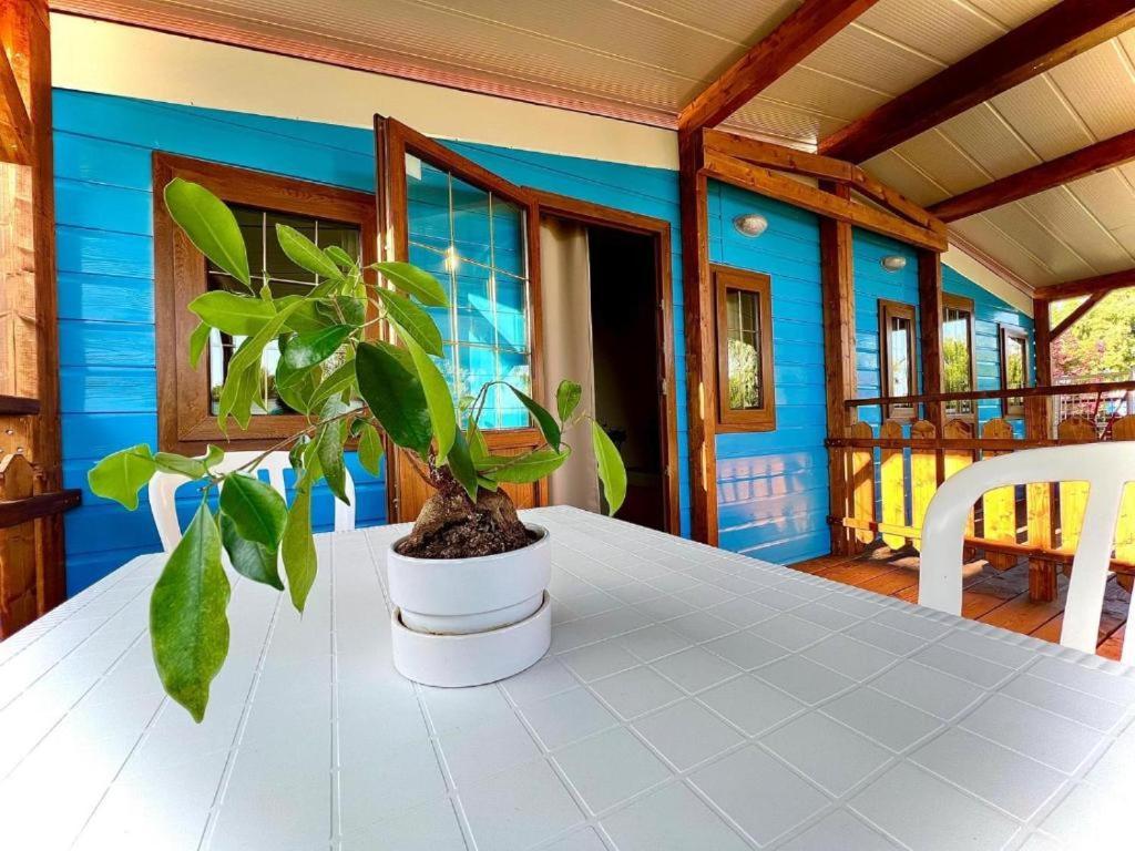 Camping Village Tuscia Tirrenica تاركوينيا المظهر الخارجي الصورة